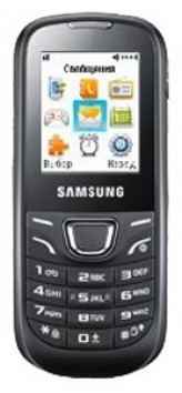 Ремонт телефона Samsung e1310